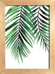 cuadro hojas plantas
