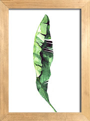 cuadro hojas plantas