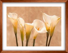 Art 9574_1004